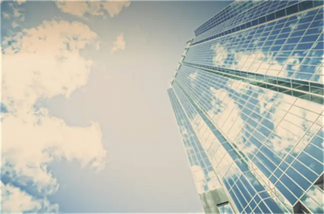 盗名的含义是什么