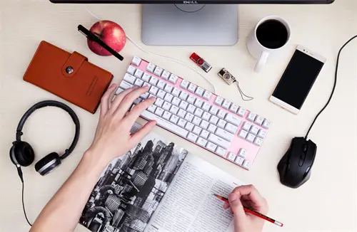 判断依据含义是什么